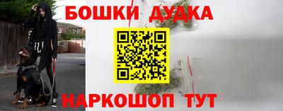 крисы Янаул