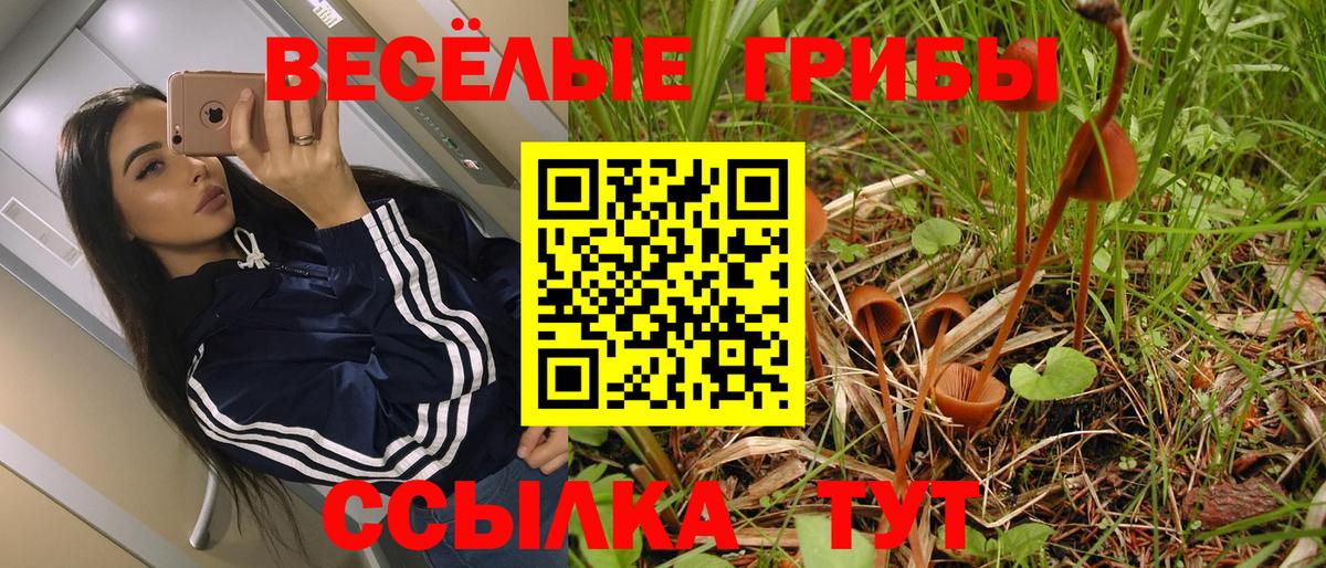сколько стоит  Псилоцибиновые грибы Cubensis  Вход с VPN  Ачхой-Мартан  Галлюциногенные грибы Magic Shrooms 